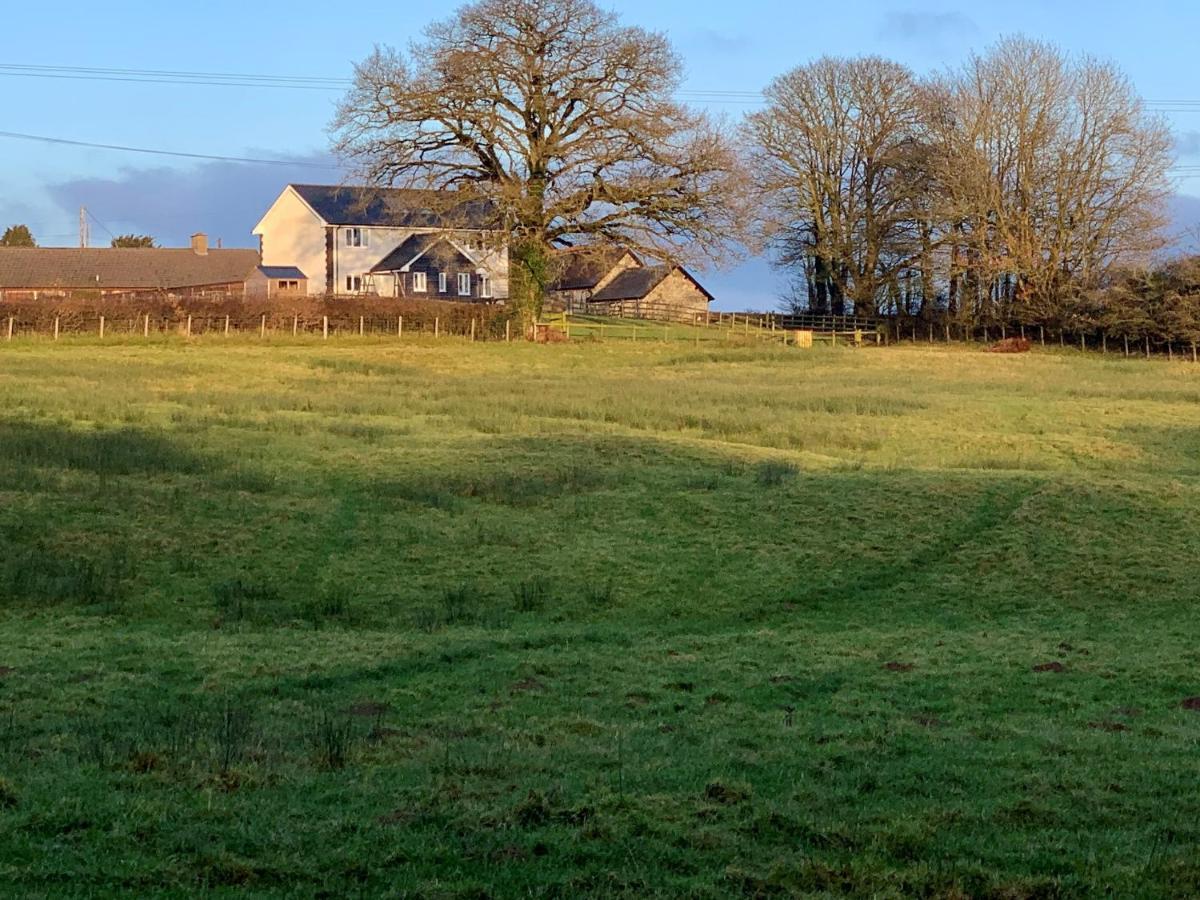 Maen Llwyd Vila Llanyre Exterior foto